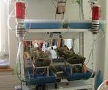 new areas for my lasius niger one has a water pond. new areas for my lasius niger one has a water pond.