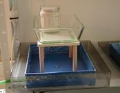 wooden framework -- holzger�st