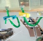 wassertropfen / water drops