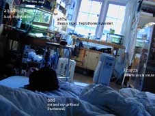 in the picture you see my room and what lives there.the picture shows how you can install a zoo despite of having little room.